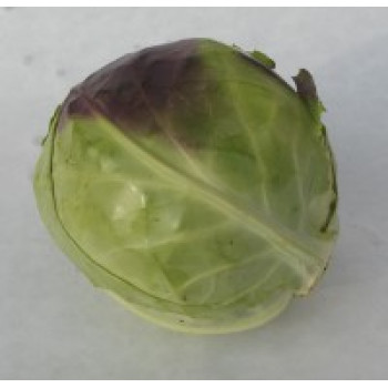 Zelí hlávkové bílé BIO 1 kg